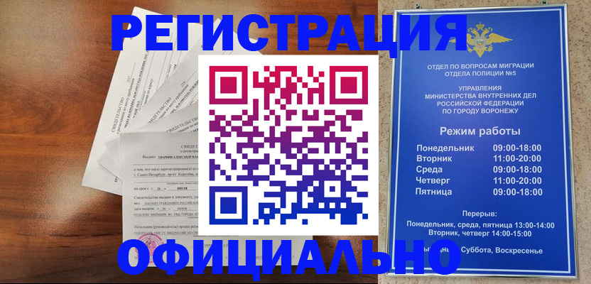 прописка поиск в Тереке